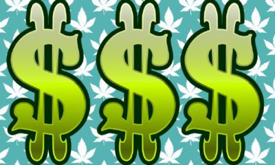 Cannabis Cash Flow